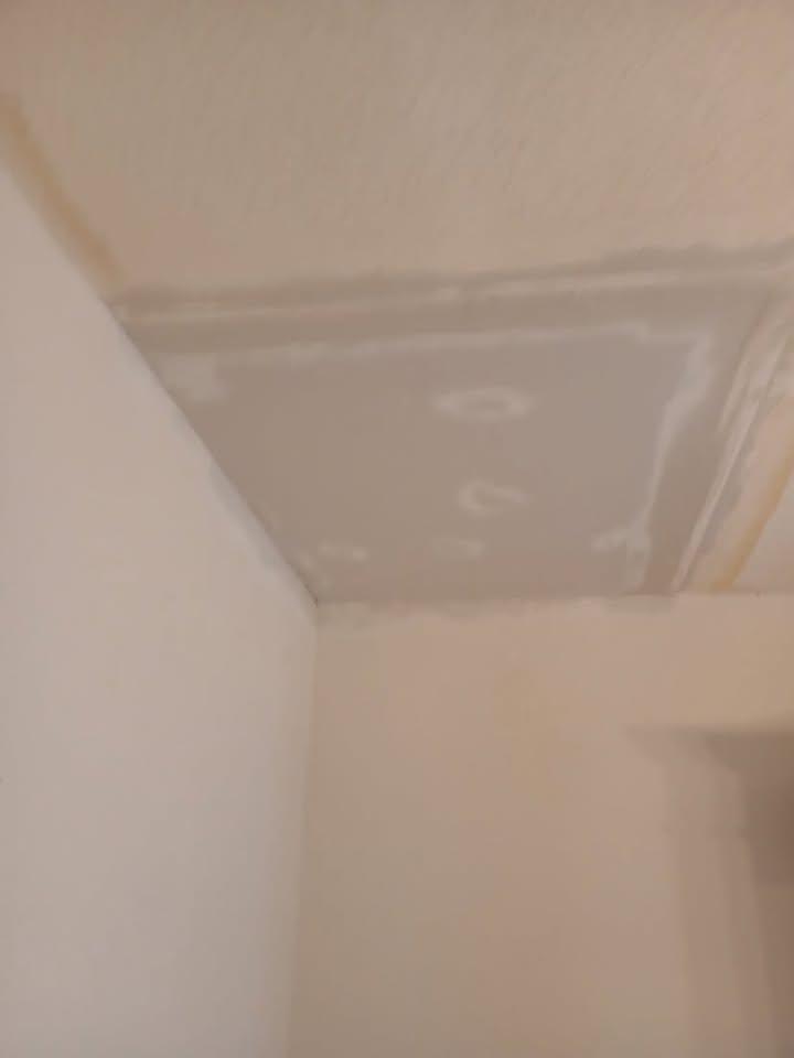 Damaged ceiling section cut out to expose the joists above before repair